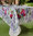 TABLECLOTH COUNTRY LINEN