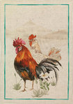 DISHCLOTHS RED ROOSTER