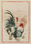 DISHCLOTHS WHITE ROOSTER